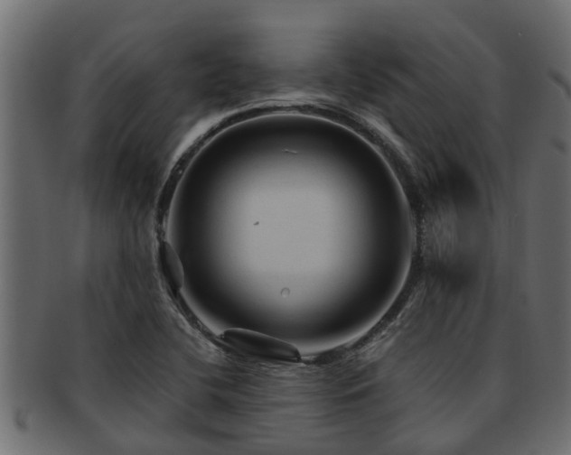 X0000093111412200709261241