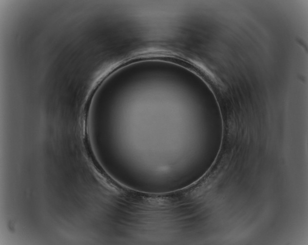 X0000093111413200709261241