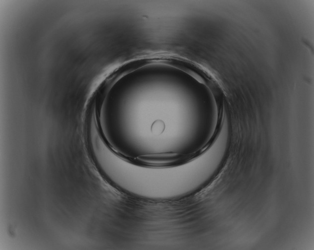 X0000093111414200709261241