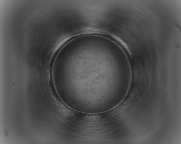 X0000093111415200709261241