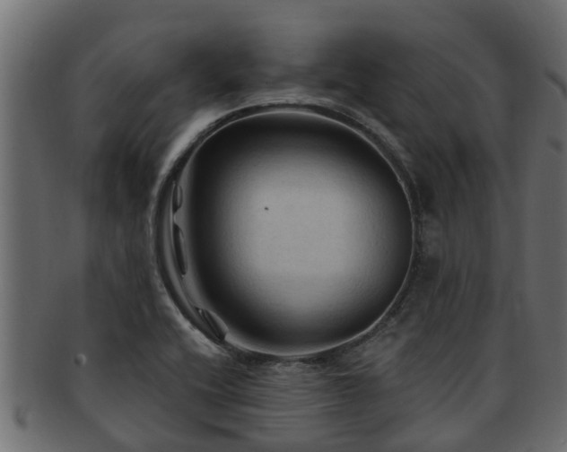 X0000093111416200709261241