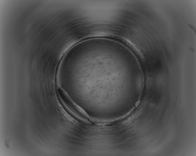 X0000093111417200709261241