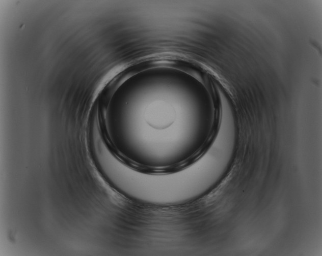 X0000093111418200709261241