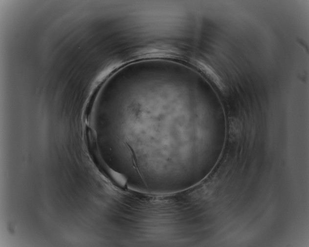 X0000093111419200709261241