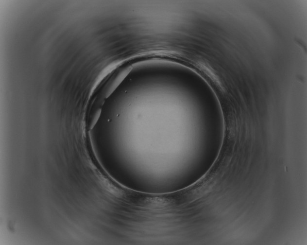 X0000093111420200709261241