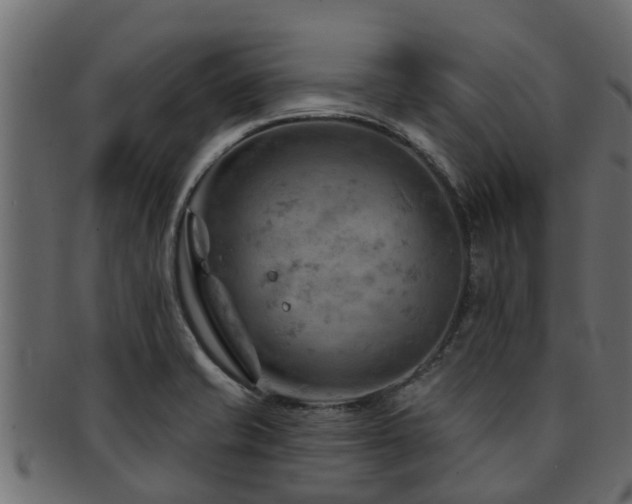 X0000093111421200709261241