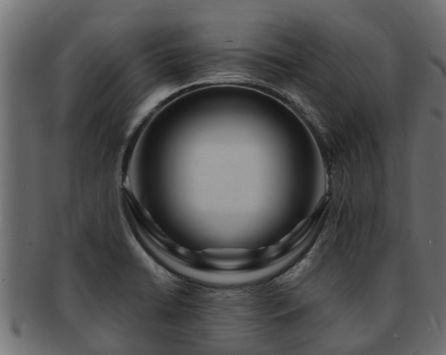 X0000093111422200709261241