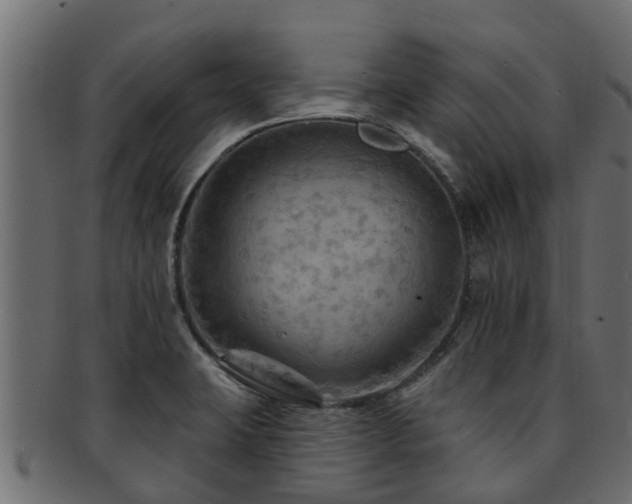 X0000093111423200709261241