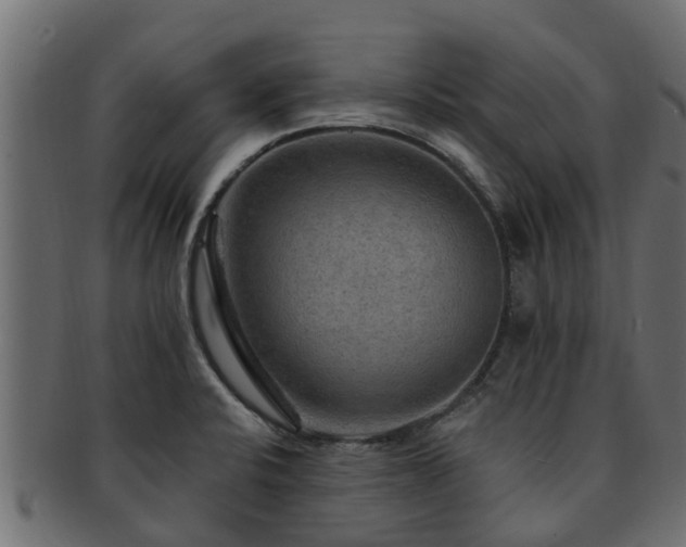 X0000093111424200709261241