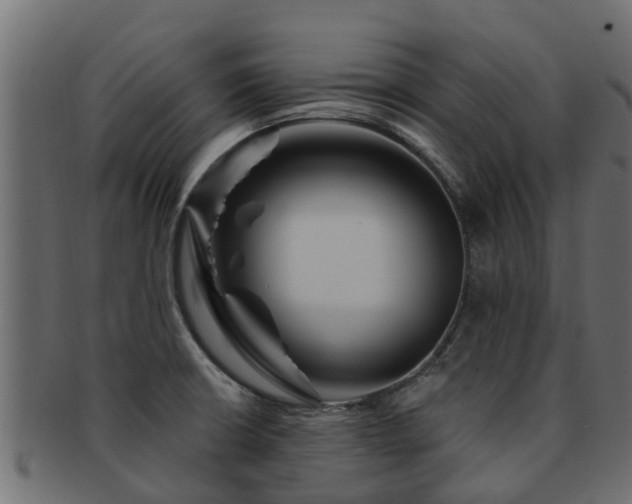 X0000093111426200709261241
