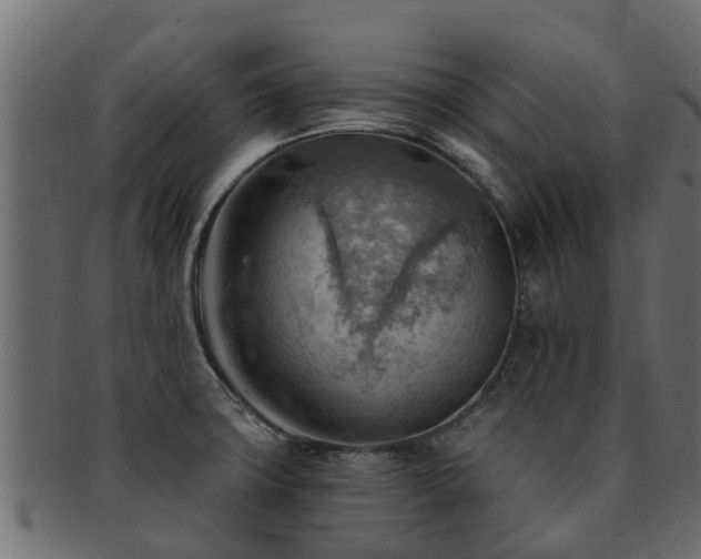 X0000093111427200709261242
