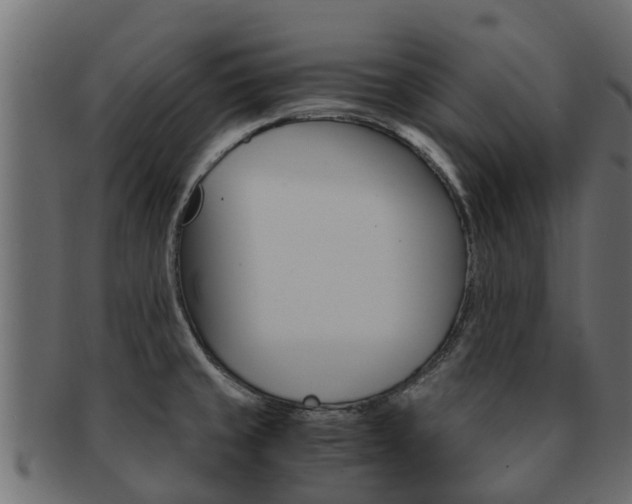 X0000093111429200709261242