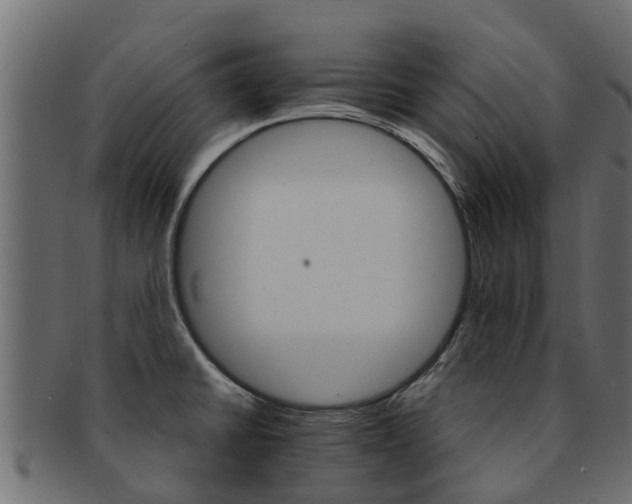 X0000093111430200709261242
