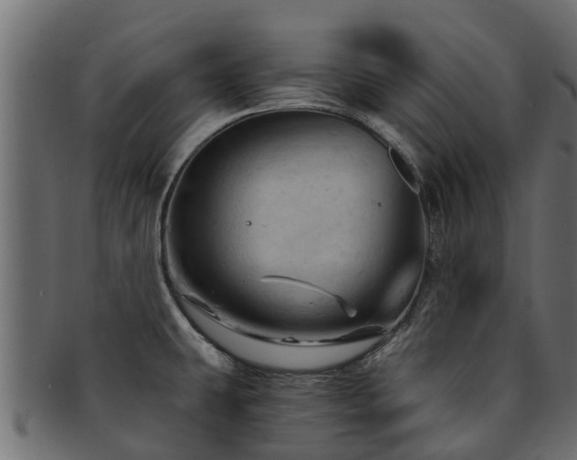X0000093111431200709261242