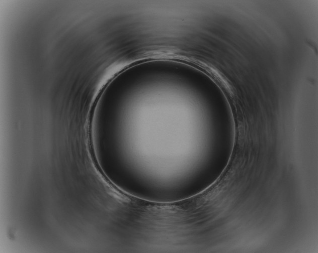 X0000093111432200709261242