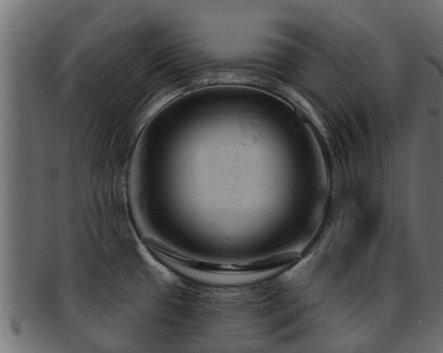 X0000093111433200709261242