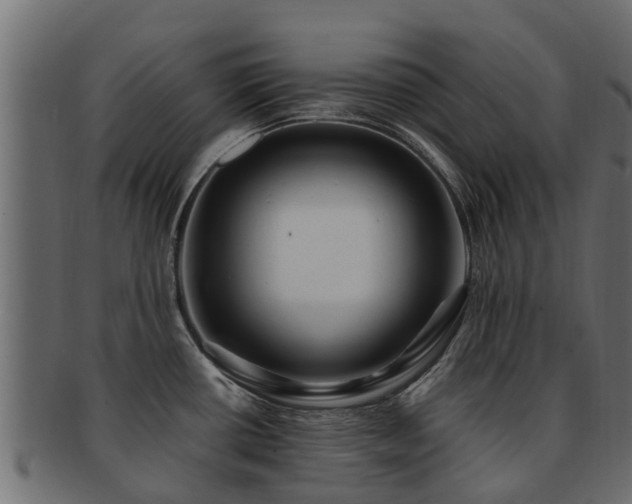 X0000093111434200709261242
