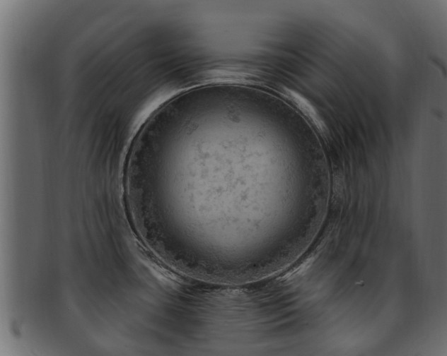 X0000093111435200709261242