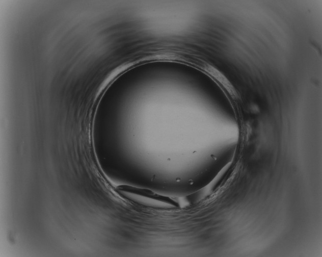 X0000093111436200709261242