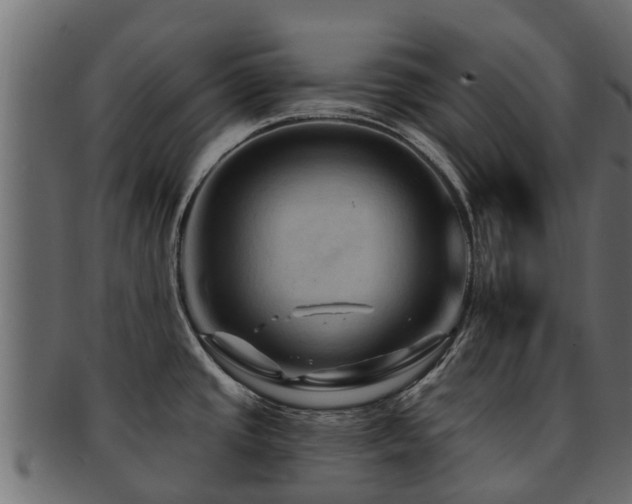 X0000093111437200709261242