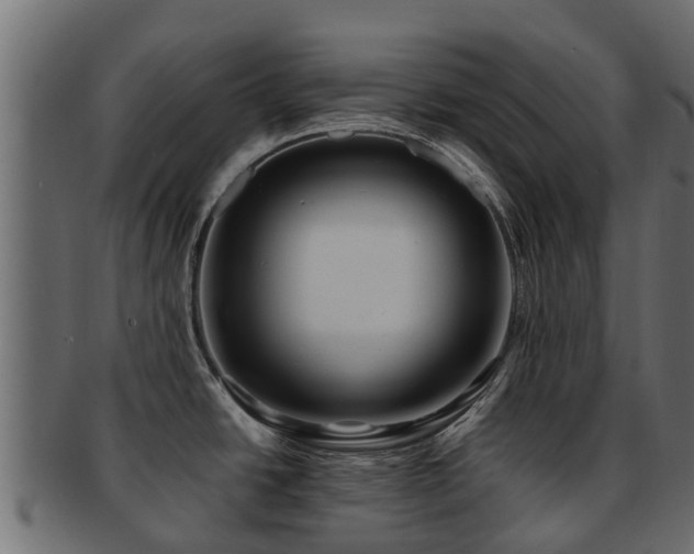 X0000093111438200709261242