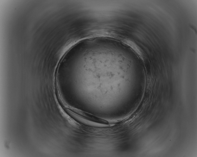 X0000093111439200709261242