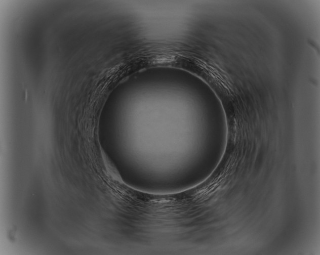X0000093111441200709261241