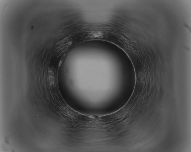 X0000093111442200709261241
