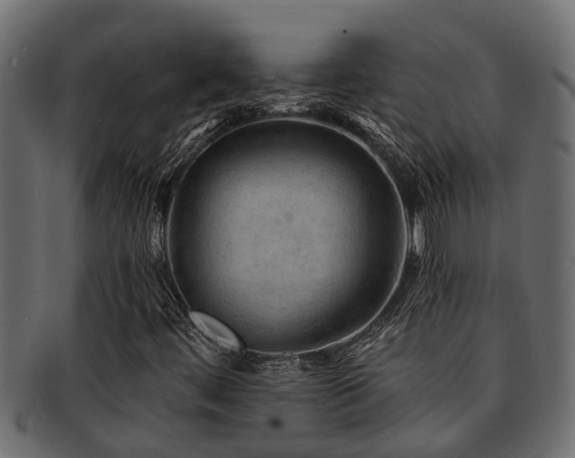 X0000093111444200709261241