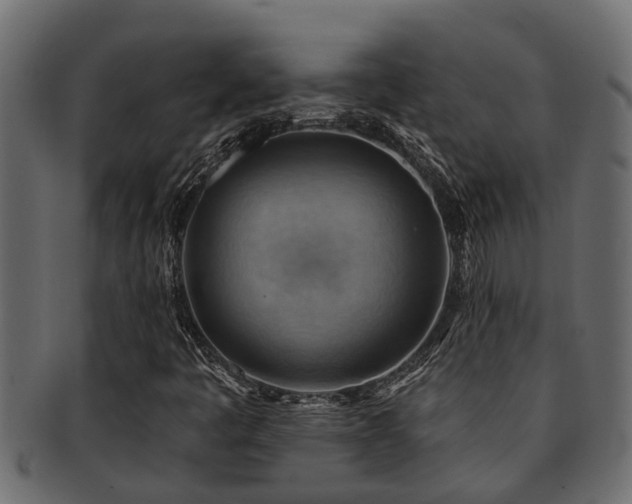 X0000093111445200709261241