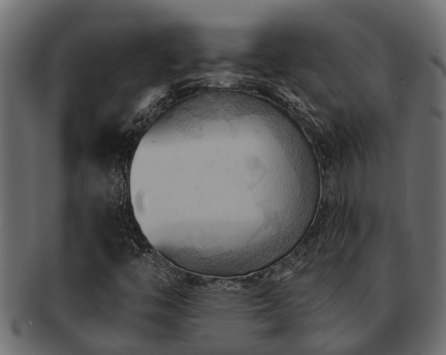 X0000093111446200709261241