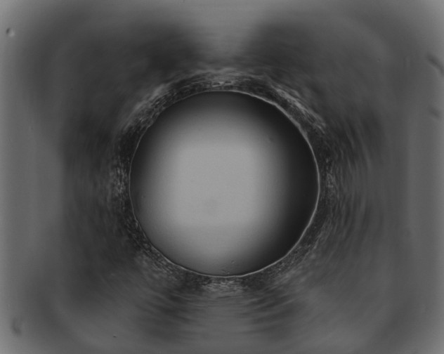 X0000093111447200709261241