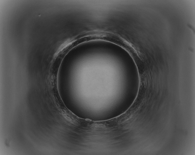 X0000093111448200709261241