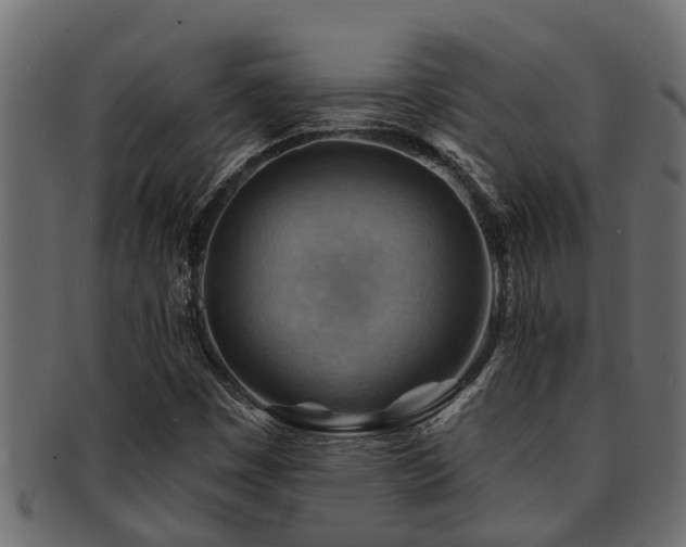 X0000093111449200709261241