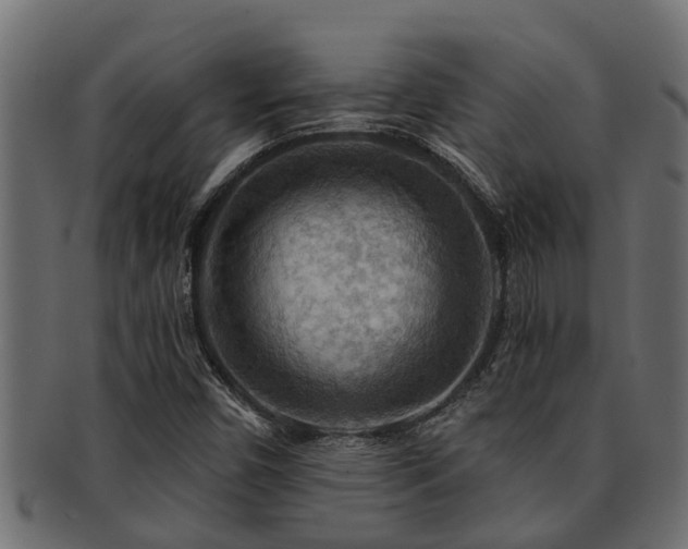X0000093111450200709261241