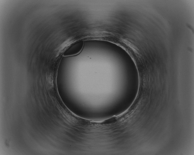 X0000093111451200709261241