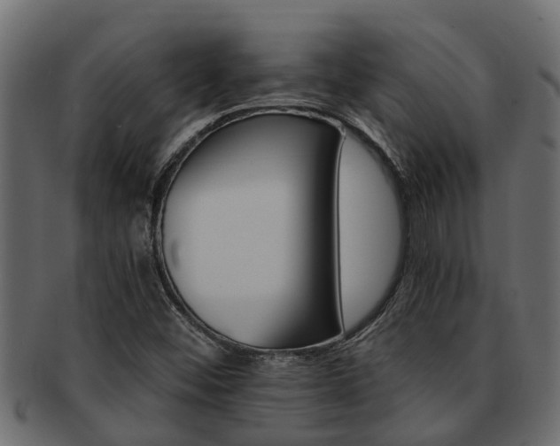 X0000093111452200709261241