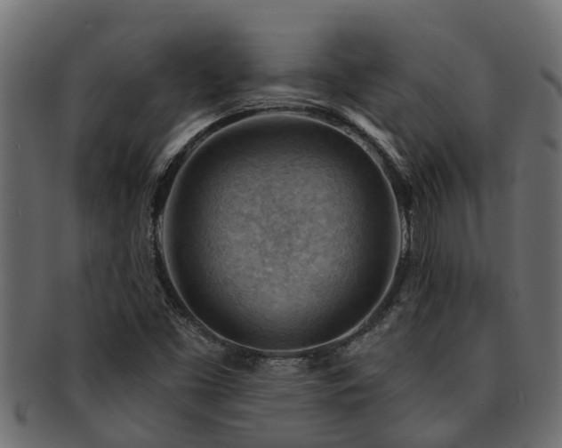 X0000093111453200709261241