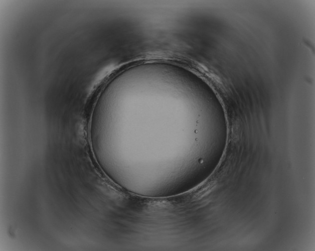 X0000093111454200709261241