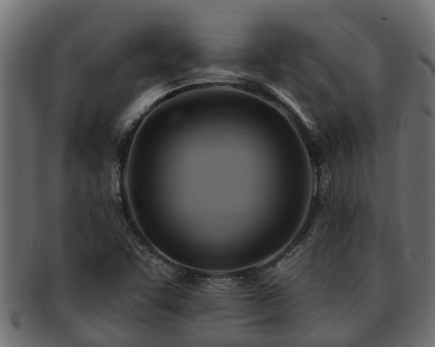 X0000093111455200709261241