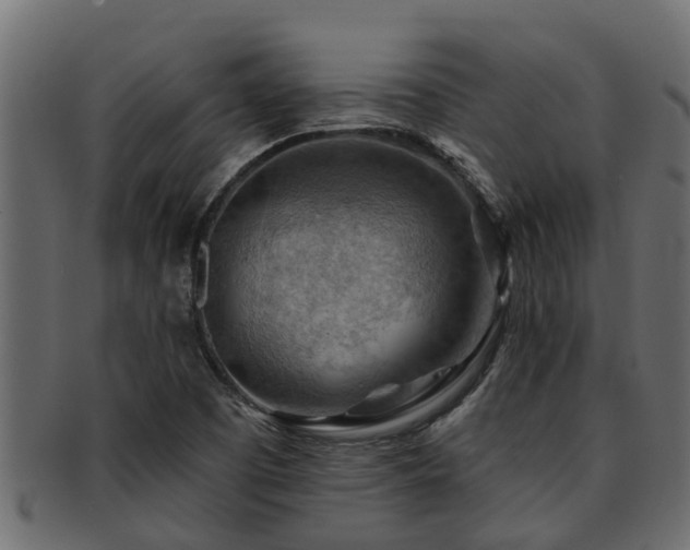 X0000093111457200709261241