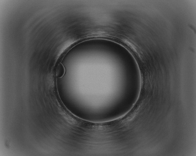 X0000093111458200709261241