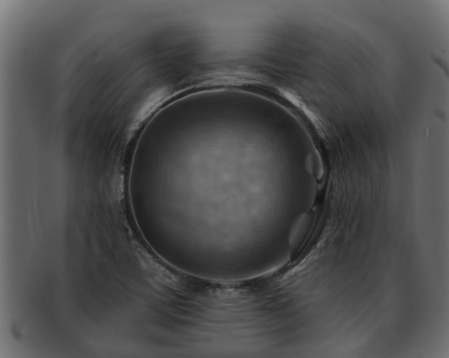 X0000093111459200709261241