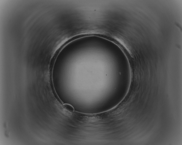 X0000093111460200709261241