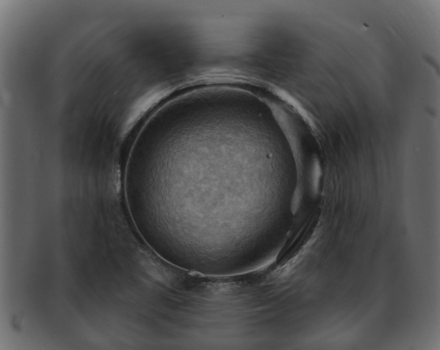 X0000093111461200709261241