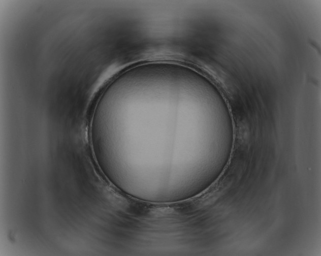 X0000093111462200709261241