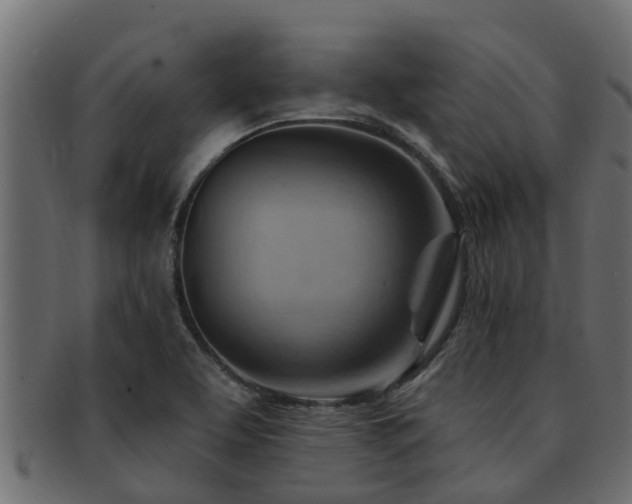 X0000093111463200709261241