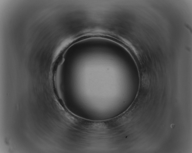 X0000093111464200709261241