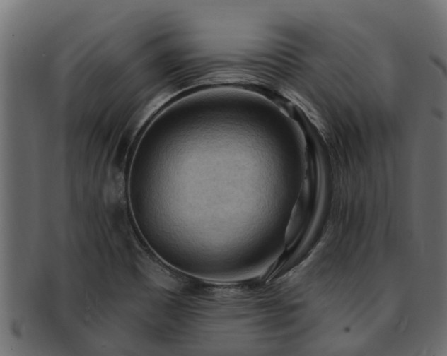 X0000093111465200709261241