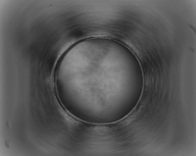 X0000093111466200709261241